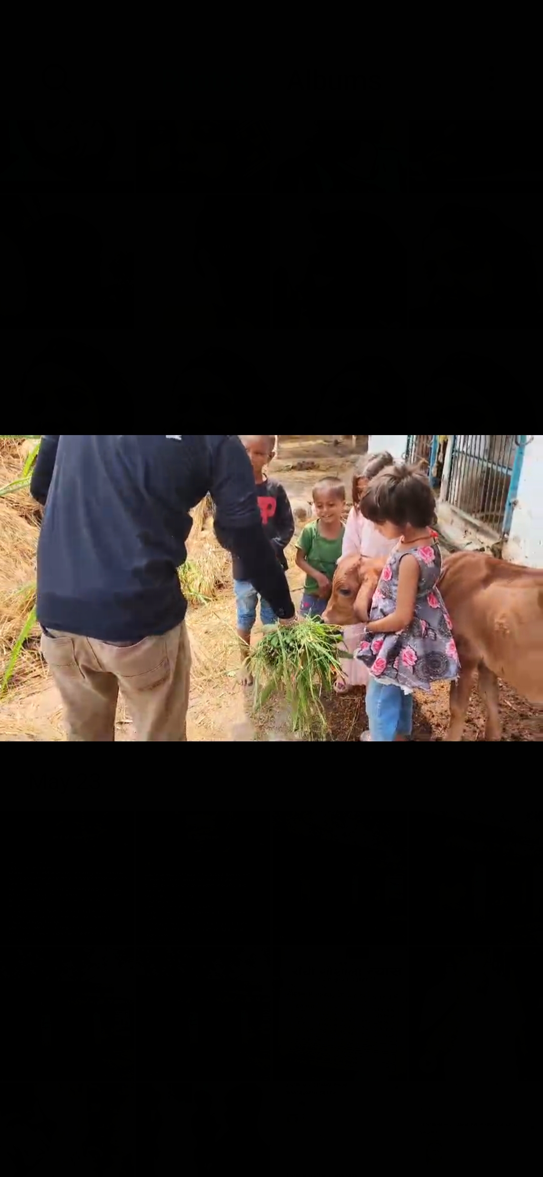 Cow Service & Compassion Drive