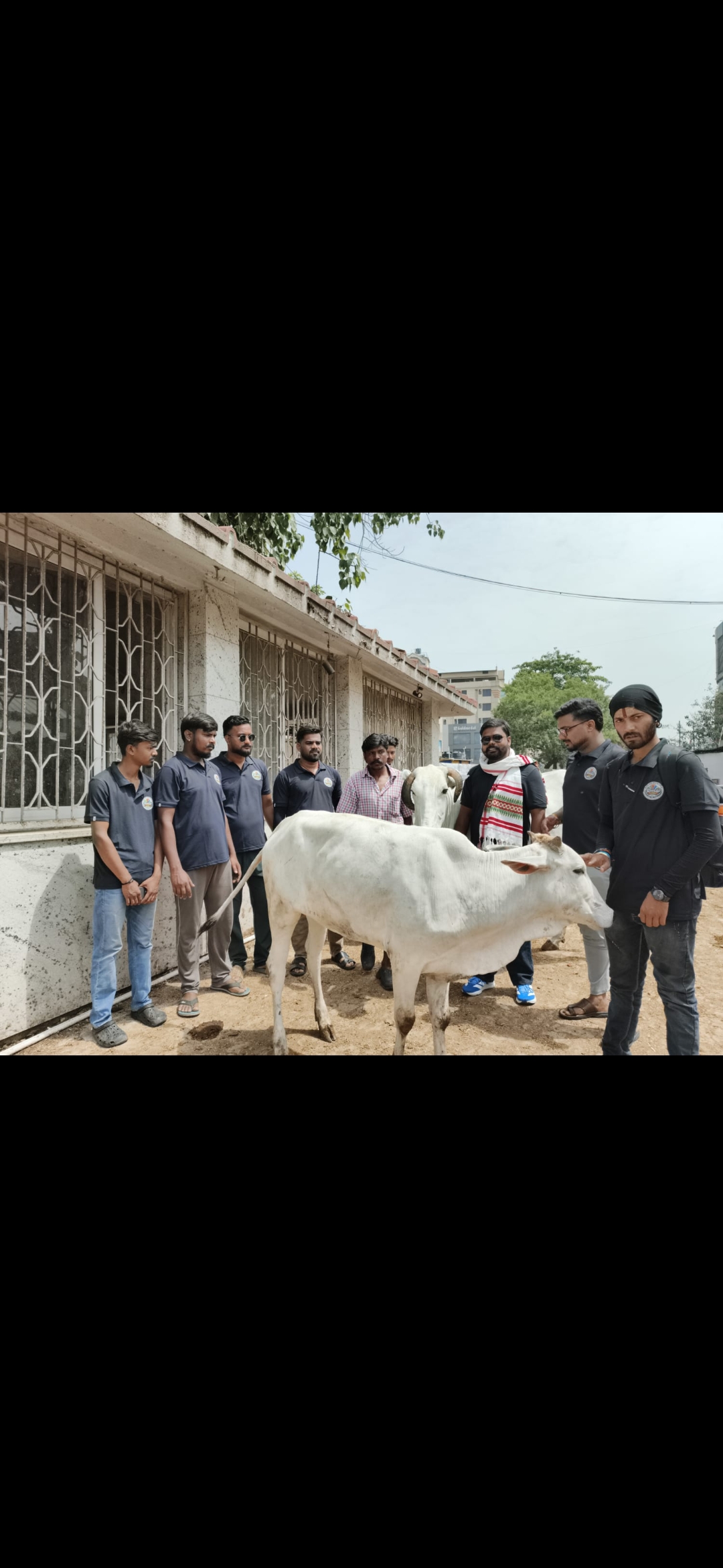 Cow Service & Compassion Drive