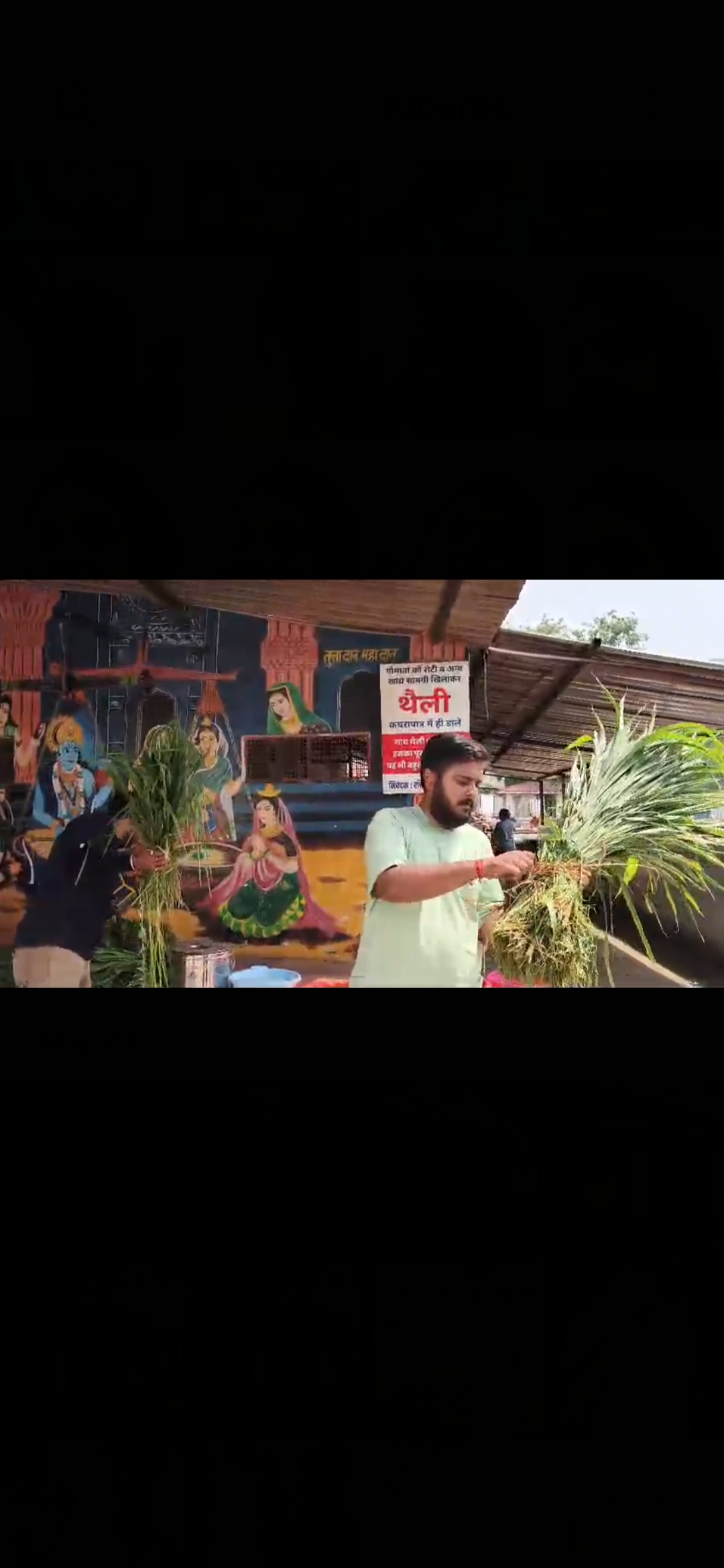 Cow Service & Compassion Drive
